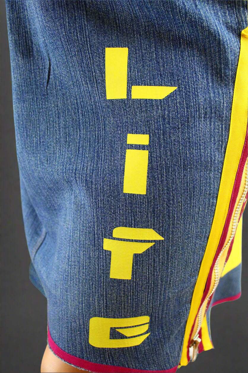 Upcycled Gloria Vanderbilt jeans 2x / 20 Plus to jean skirt Hi-Lo Yellow Ankh & Life appliques One-Of-A-Kind African Diaspora